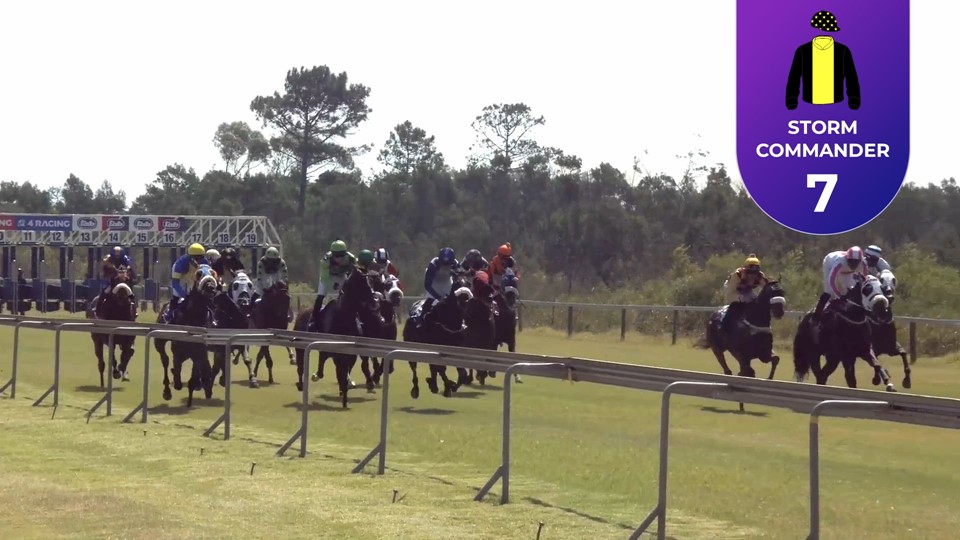 Racing Today Fairview SA 01 Mar 2024 Race 4