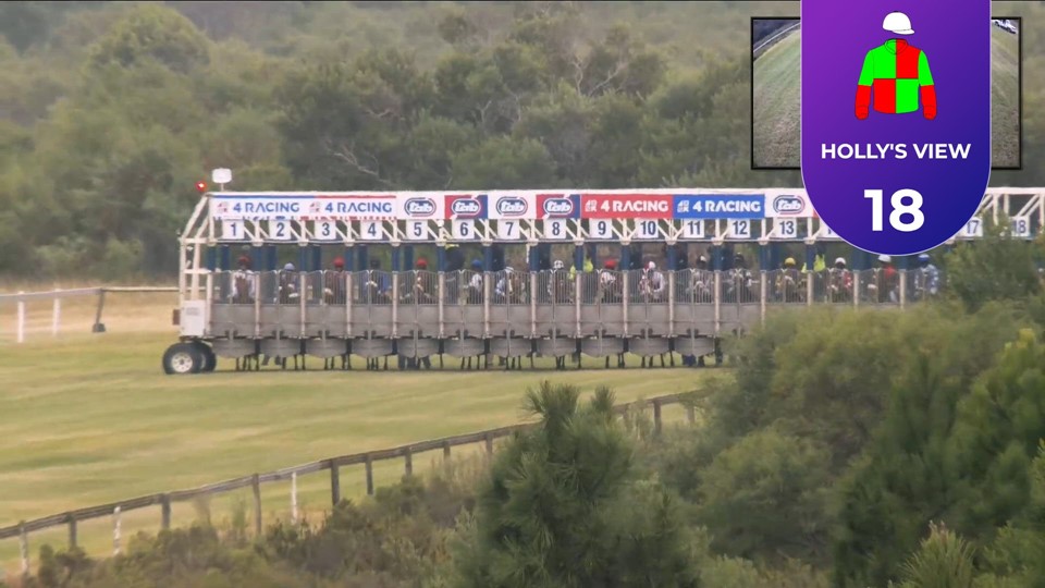 Racing Today Fairview SA 01 Mar 2024 Race 8