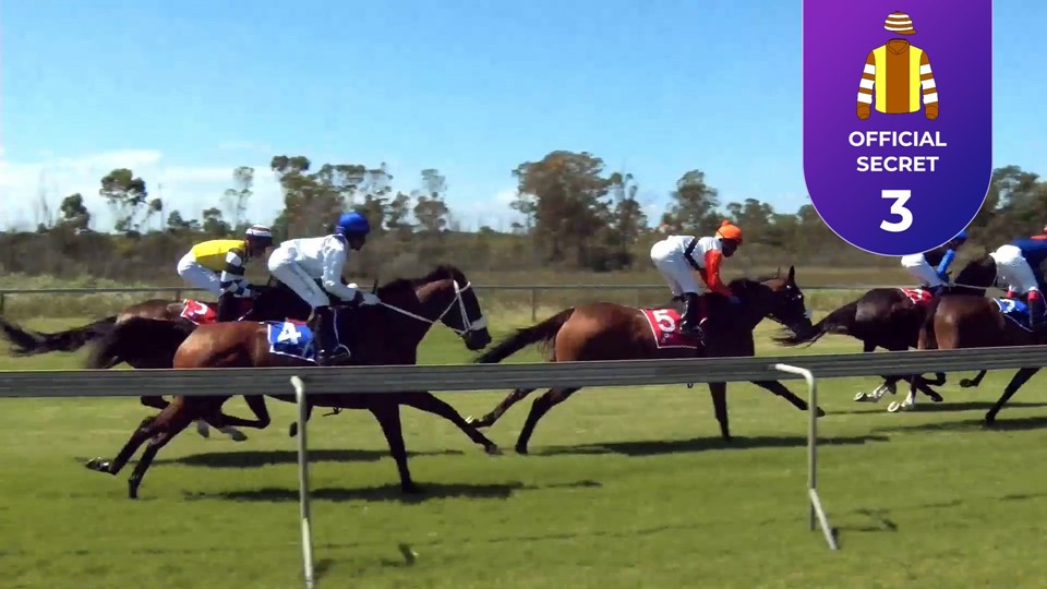 Racing Today Fairview SA 09 Feb 2024 Race 4