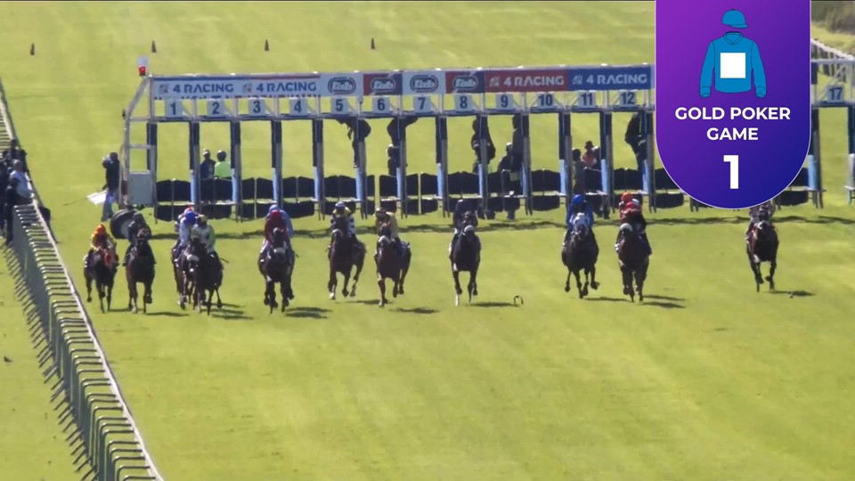 Racing Today Fairview SA 12 Jan 2024 Race 7