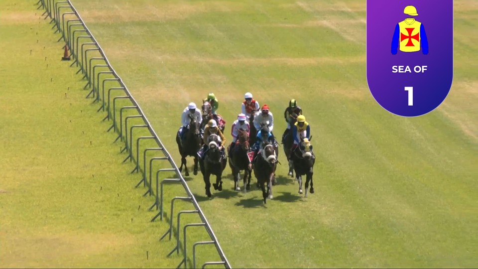 Racing Today Fairview SA 23 Feb 2024 Race 2