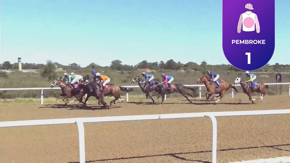 Racing Today Fairview SA 28 Aug 2023 Race 1