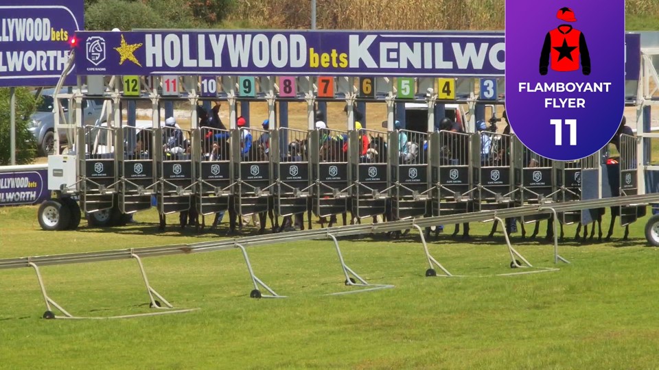 Racing Today Hollywoodbets Kenilworth SA 20 Jan 2024 Race 5