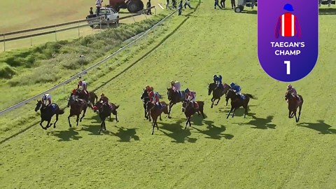 Turffontein SA 12 Dec 2023 Race 8