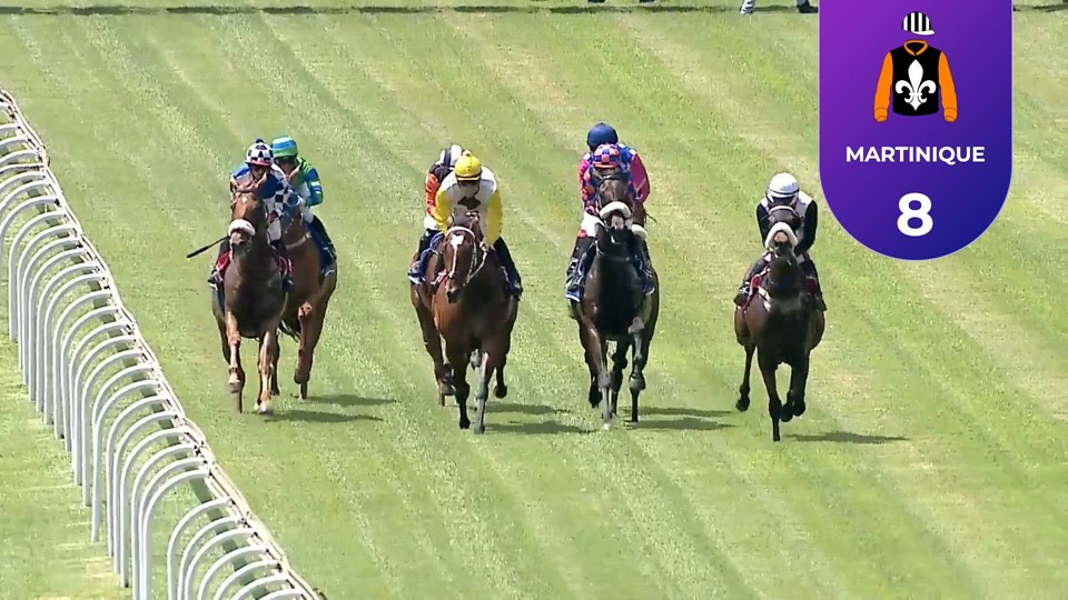 Racing Today - Vaal SA 21 Dec 2023 Race 3