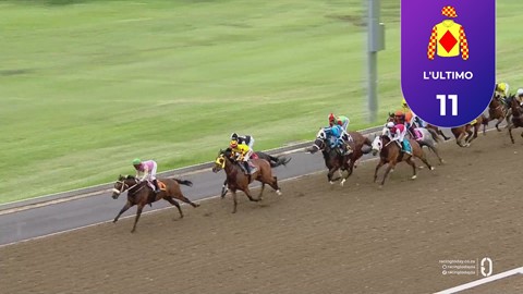 Hollywoodbets Greyville SA 31 Dec 2025 Race 8