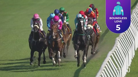 Hollywoodbets Kenilworth SA 10 Nov 2025 Race 8