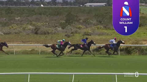 Hollywoodbets Kenilworth SA 15 Nov 2025 Race 4