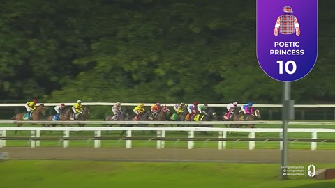 Hollywoodbets Greyville SA 24 Apr 2026 Race 9