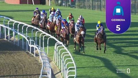 Hollywoodbets Greyville SA 02 May 2026 Race 8