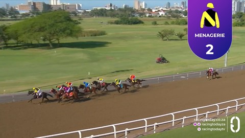Hollywoodbets Greyville SA 27 May 2026 Race 3