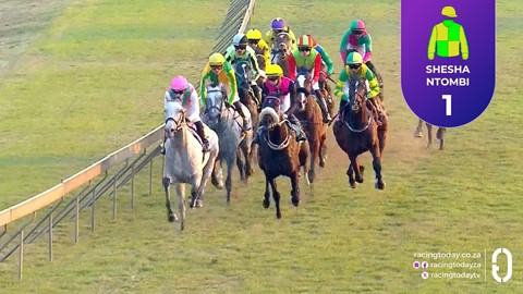 Hollywoodbets Scottsville SA 30 Jul 2025 Race 8