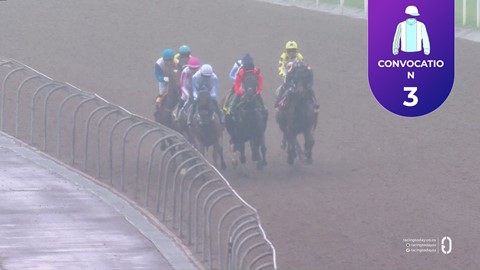 Hollywoodbets Greyville SA 27 Oct 2025 Race 6