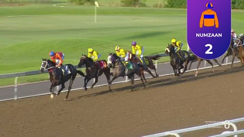 Hollywoodbets Greyville SA 08 Apr 2026 Race 9