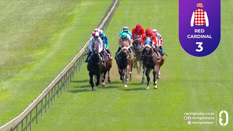 Hollywoodbets Scottsville SA 18 Feb 2026 Race 3
