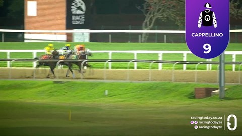 Hollywoodbets Greyville SA 21 Aug 2026 Race 7