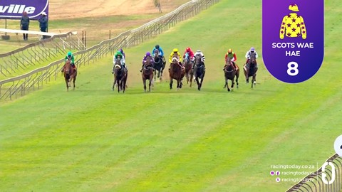 Hollywoodbets Scottsville SA 29 Jul 2026 Race 1