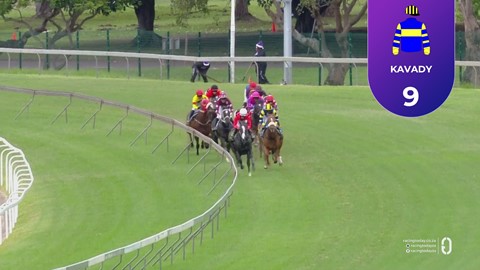 Hollywoodbets Greyville SA 26 Dec 2025 Race 1