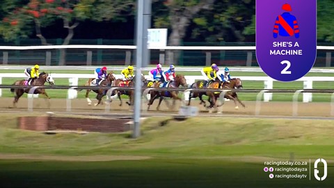 Hollywoodbets Greyville SA 01 Aug 2025 Race 10