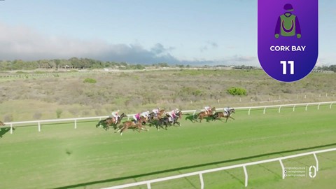 Hollywoodbets Kenilworth SA 03 May 2026 Race 8