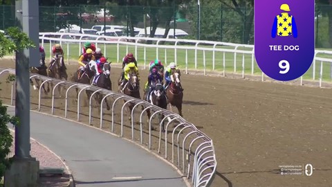 Hollywoodbets Greyville SA 31 Dec 2025 Race 3