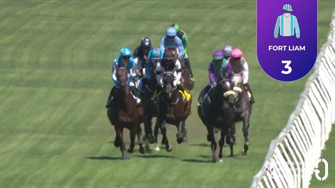 Hollywoodbets Durbanville SA 11 Feb 2026 Race 4