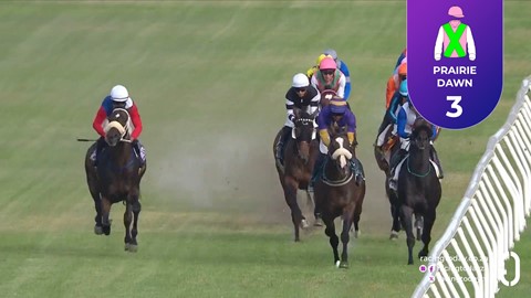 Hollywoodbets Durbanville SA 25 Mar 2026 Race 7