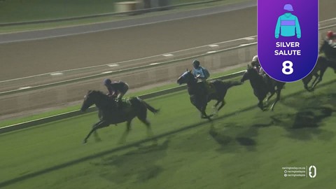 Hollywoodbets Greyville SA 27 Mar 2026 Race 8