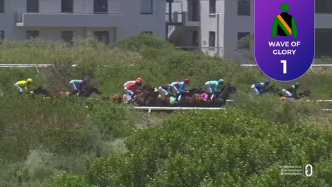 Hollywoodbets Kenilworth SA 04 Jan 2026 Race 1