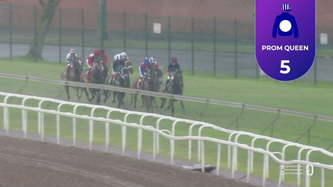 Hollywoodbets Greyville SA 26 Dec 2025 Race 8