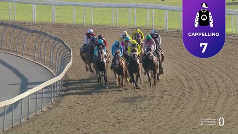 Hollywoodbets Greyville SA 28 Jan 2026 Race 8