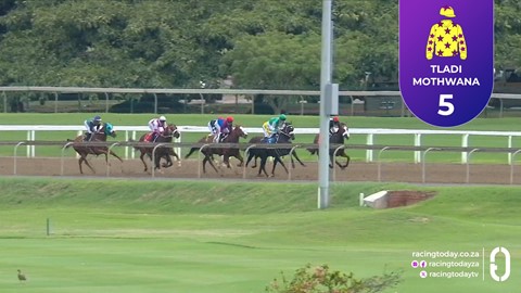 Hollywoodbets Greyville SA 23 Feb 2026 Race 8