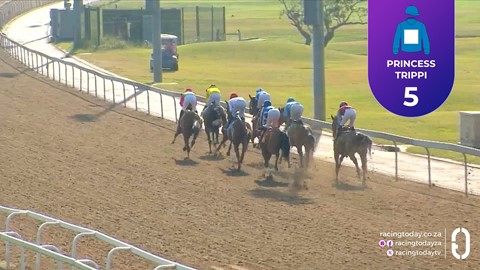 Hollywoodbets Greyville SA 15 Jul 2026 Race 3