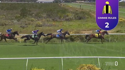 Hollywoodbets Kenilworth SA 15 Nov 2025 Race 3