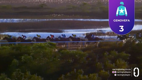 Fairview SA 15 May 2026 Race 8