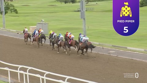 Hollywoodbets Greyville SA 08 Mar 2026 Race 9