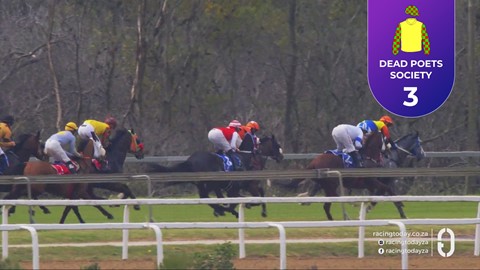 Fairview SA 28 Aug 2026 Race 2