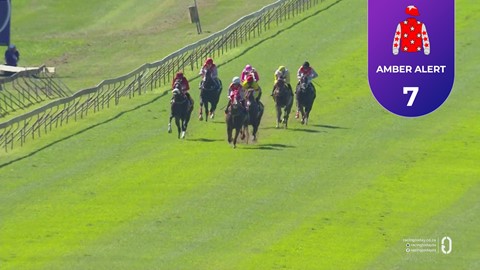Hollywoodbets Scottsville SA 26 Apr 2026 Race 2