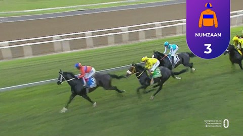 Hollywoodbets Greyville SA 19 Dec 2025 Race 5