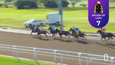 Hollywoodbets Greyville SA 10 Jun 2026 Race 2