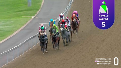 Hollywoodbets Greyville SA 24 Sep 2026 Race 8