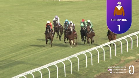 Turffontein SA 26 Oct 2025 Race 8