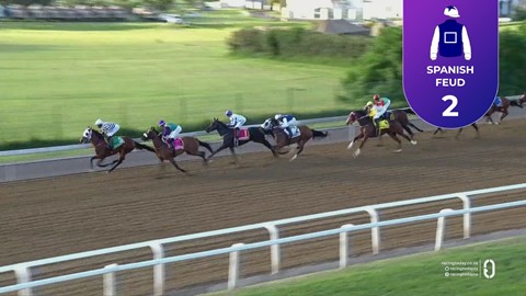 Hollywoodbets Greyville SA 03 Apr 2026 Race 2