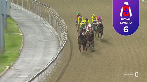 Hollywoodbets Greyville SA 27 Feb 2026 Race 5