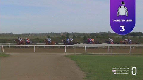 TAB Fairview SA 16 Oct 2026 Race 8