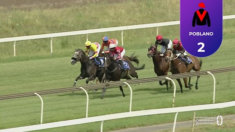 Vaal SA 27 Jan 2026 Race 5