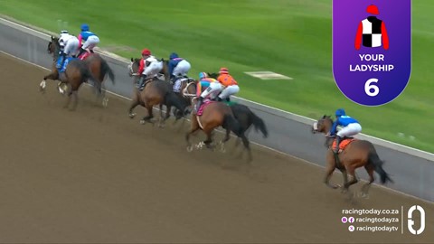 Hollywoodbets Greyville SA 24 Sep 2026 Race 6