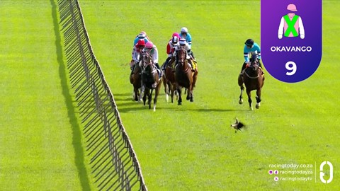 Hollywoodbets Scottsville SA 15 Mar 2026 Race 7