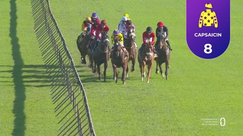 Hollywoodbets Scottsville SA 17 May 2026 Race 7
