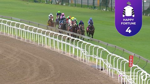 Hollywoodbets Greyville SA 18 Jan 2026 Race 8